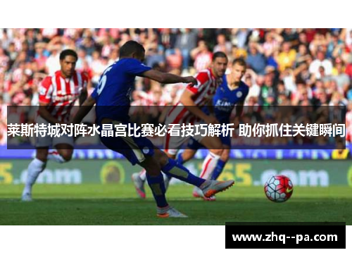 莱斯特城对阵水晶宫比赛必看技巧解析 助你抓住关键瞬间