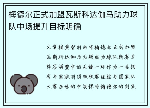 梅德尔正式加盟瓦斯科达伽马助力球队中场提升目标明确